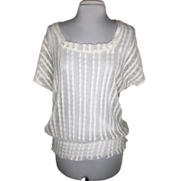 Peck & Peck Short Sleeve Elastic Bottom Square Neck Netted Top Size L - Picture 1 of 6